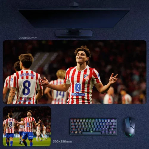 Julián Álvarez at Atlético Madrid